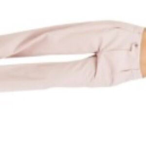 CLOSED | Women’s Pink Pleated Mawson Pants Size 31
